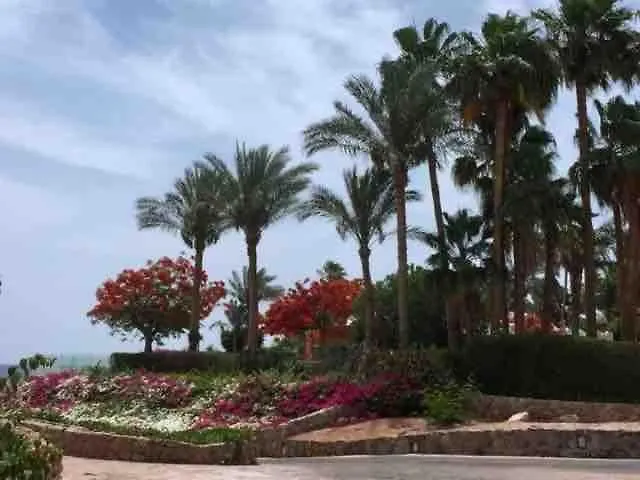 Domina Coral Bay