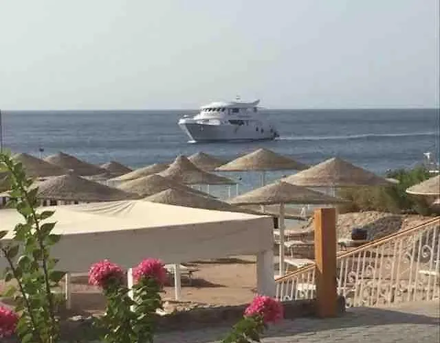 Domina Coral Bay *