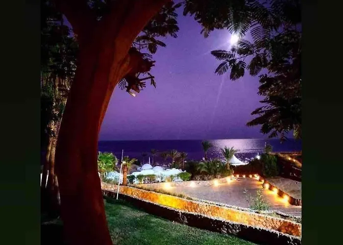 Domina Coral Bay Appartamento *