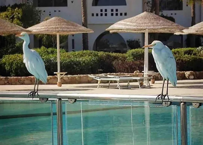 Domina Coral Bay * Sharm el Sheikh